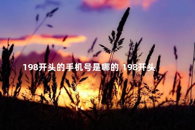 198开头的手机号是哪的 198开头是哪个省